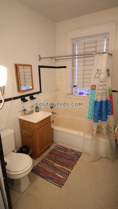 Allston/brighton Border Apartment for rent 1 Bedroom 1 Bath Boston - $2,625 50% Fee