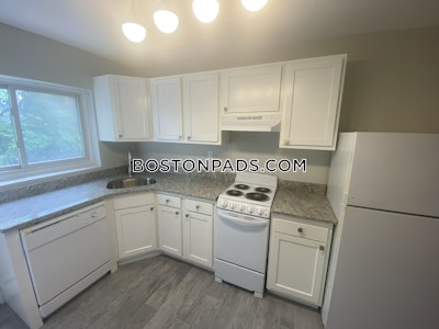 Brighton 2 Bed 1 Bath BOSTON Boston - $3,000