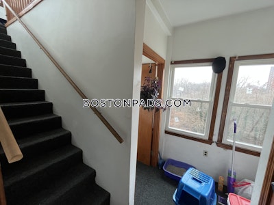 Fort Hill Amazing 3 bed apartment in Highland St Boston - $3,700