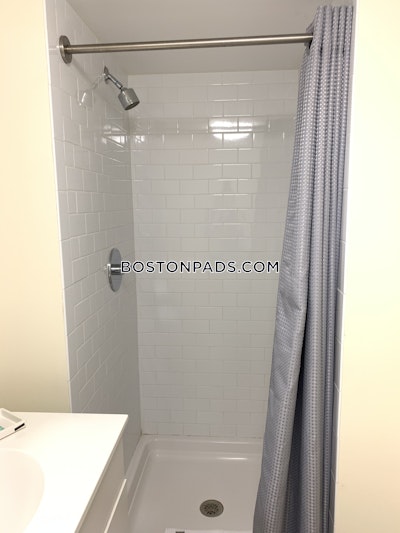 Downtown 1 Bed 1 Bath BOSTON Boston - $3,200