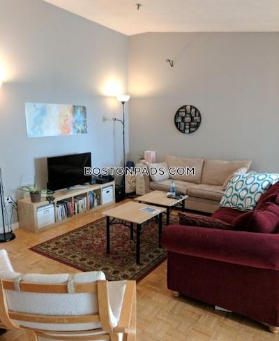 Allston/brighton Border 2 Bed, 2.5 Bath Unit Boston - $4,000