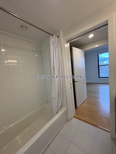 Allston 2 Beds 2 Baths Boston - $4,250 No Fee