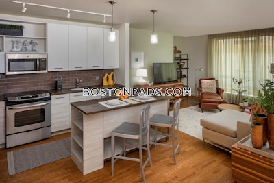 Downtown 1 Bed 1 Bath Boston - $3,800