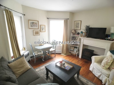 Brookline Apartment for rent 1 Bedroom 1 Bath  Washington Square - $1,800