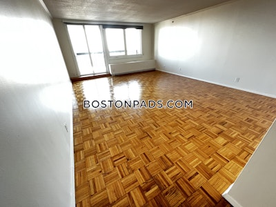 West End Apartment for rent 1 Bedroom 1 Bath Boston - $3,655