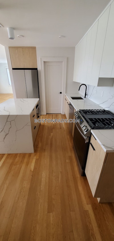 Dorchester Apartment for rent 4 Bedrooms 3 Baths Boston - $5,400