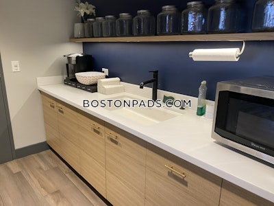 Allston Luxury Living 1 Bedroom Apartments Boston - $3,000