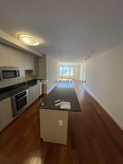 West End Apartment for rent 1 Bedroom 1 Bath Boston - $3,331