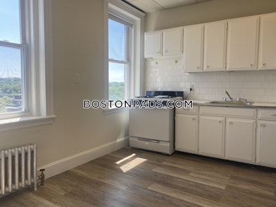 Allston/brighton Border Apartment for rent 1 Bedroom 1 Bath Boston - $2,445 50% Fee