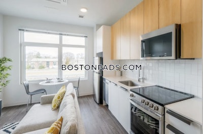 Allston Apartment for rent Studio 1 Bath Boston - $2,783 No Fee