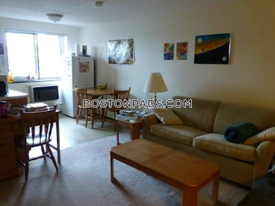 Cambridge Apartment for rent Studio 1 Bath  Davis Square - $2,200 No Fee