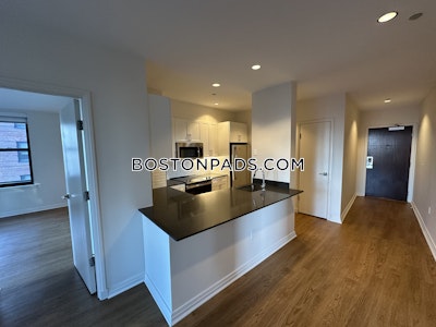 Downtown Apartment for rent 2 Bedrooms 2 Baths Boston - $4,802