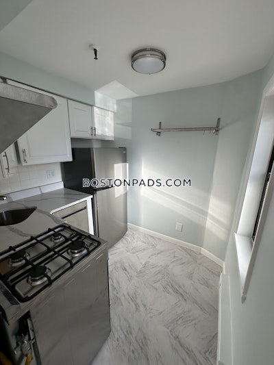 Brighton Apartment for rent 1 Bedroom 1 Bath Boston - $2,100