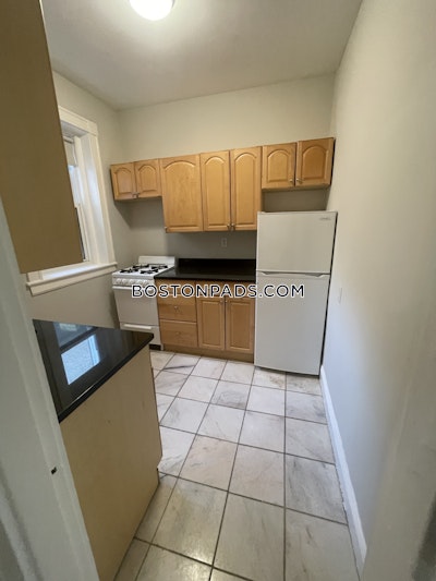 Allston Apartment for rent 1 Bedroom 1 Bath Boston - $2,900